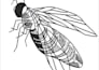 do convert logo to embroidery digitizing 1 hours